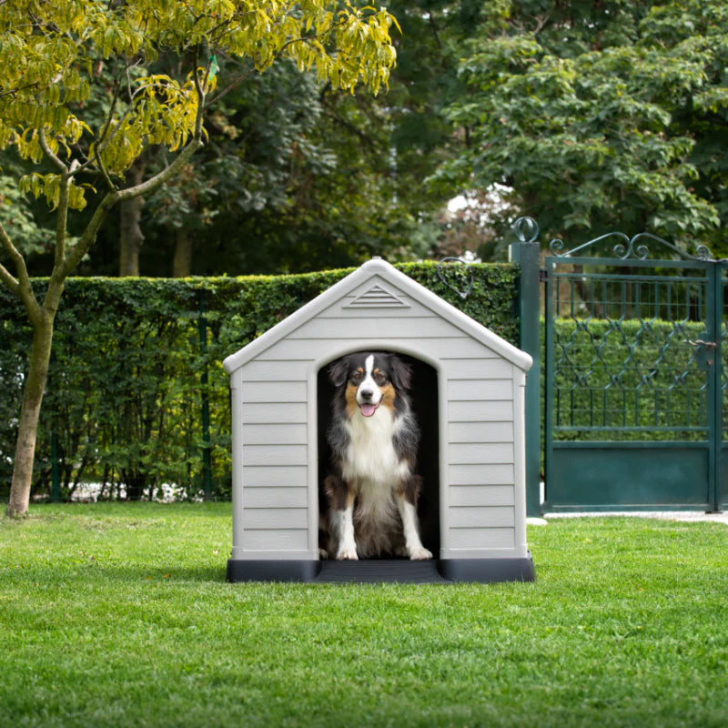 CUCCIA KETER - DOG HOUSE
