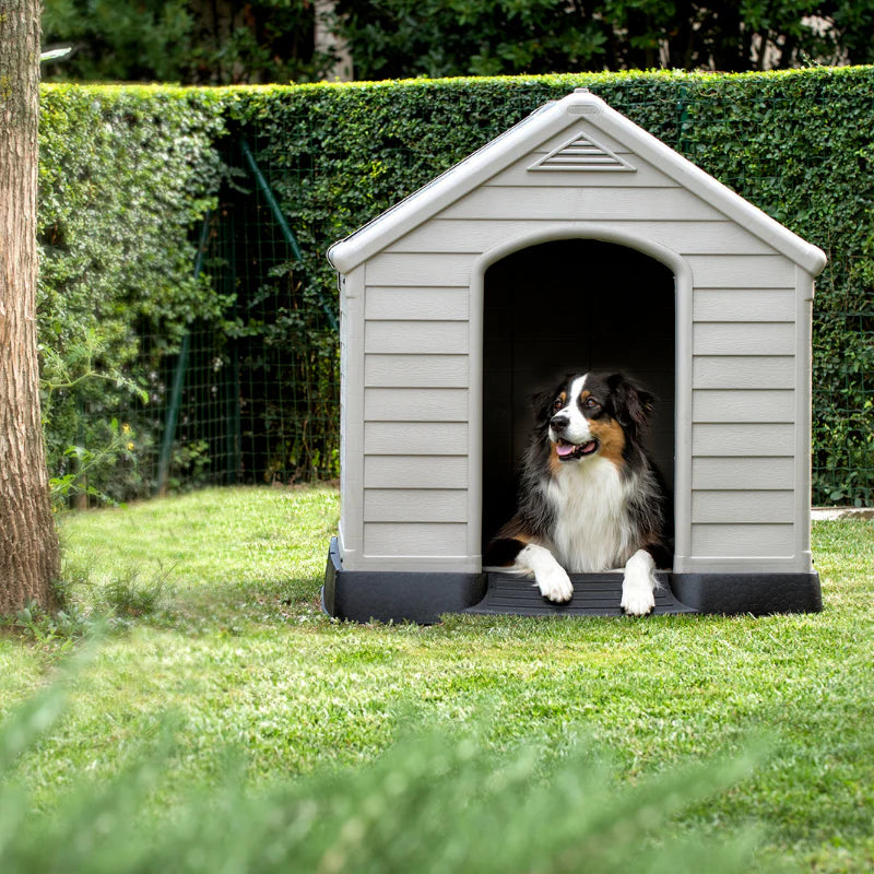 CUCCIA KETER - DOG HOUSE